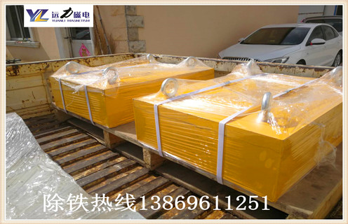 稀土永磁奶茶视频黄色网站具备没电励磁调节器,环保节能明显,安裝优势